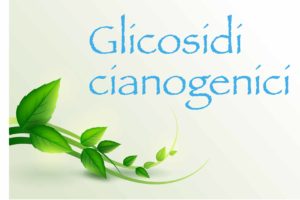 glicosidi-cianogenici